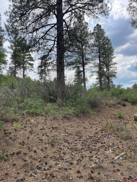 181 River Run Dr, Pagosa Springs, CO 81147