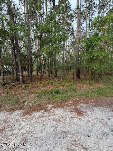 269 S High Point Rd, Boiling Spring Lakes, NC 28461