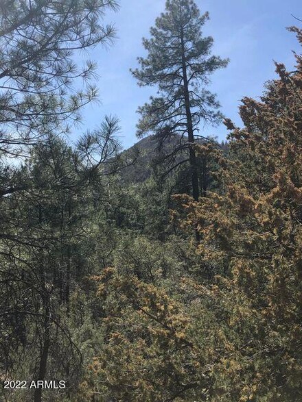 Parcel 1 N Pine Hollow Trail Unit 2, Pine, AZ 85544