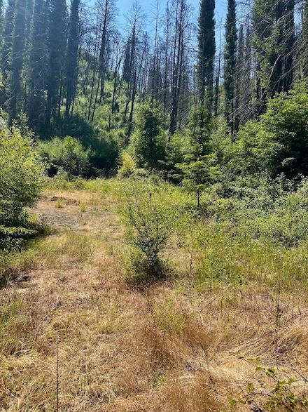 678 Swanton Rd, Davenport, CA 95017