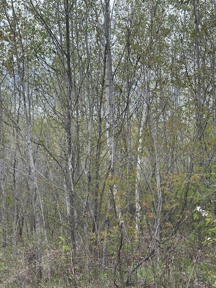 ON Long Shot Ln Unit 4093, Minocqua, WI 54548