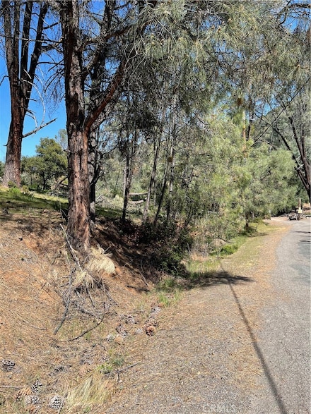 4736 Kaweah Rd, Kelseyville, CA 95451