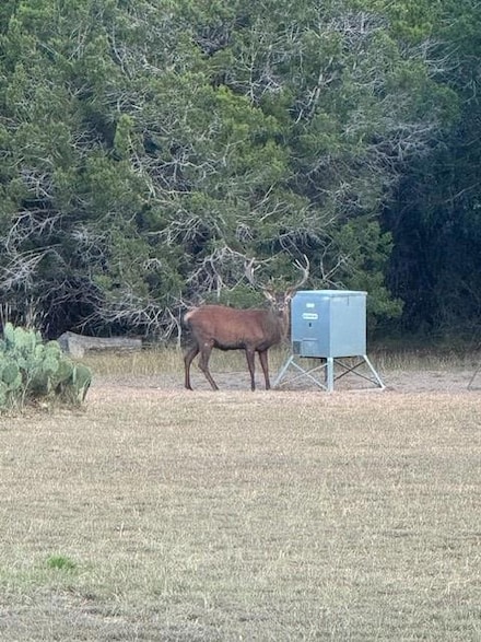 1100 Madrona Ridge Dr Unit 10, Bandera, TX 78003