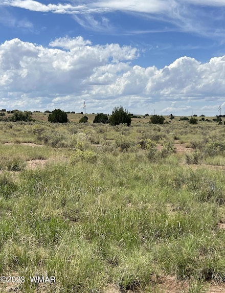 50 County Road 6019, St. Johns, AZ 85936