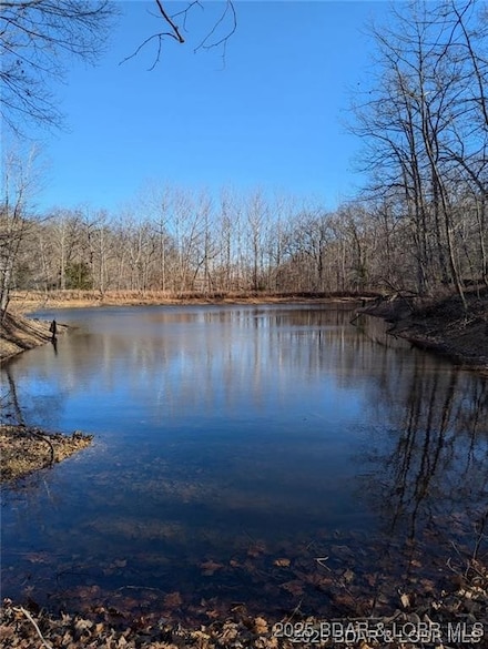 TBD Oak Point Dr, Gravois Mills, MO 65037