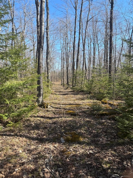 0 S Walding Rd, Drummond Township, MI 49726