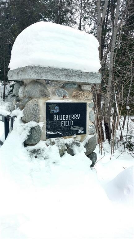 Lot 2 Blueberry Field, Eustis, ME 04936