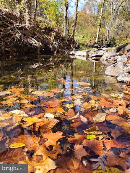 3536 J R Rannells Rd, Points, WV 26763