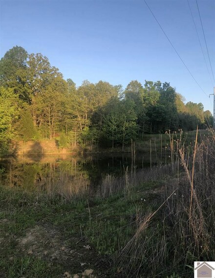 0 Paddys Bluff Rd, Marion, KY 42064