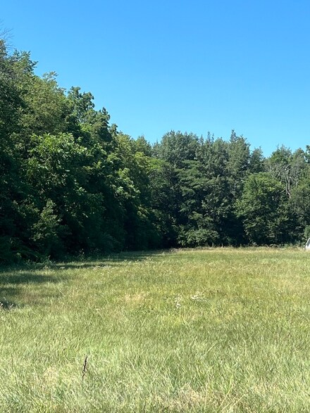 2706 County Road 1200 N, Homer, IL 61849