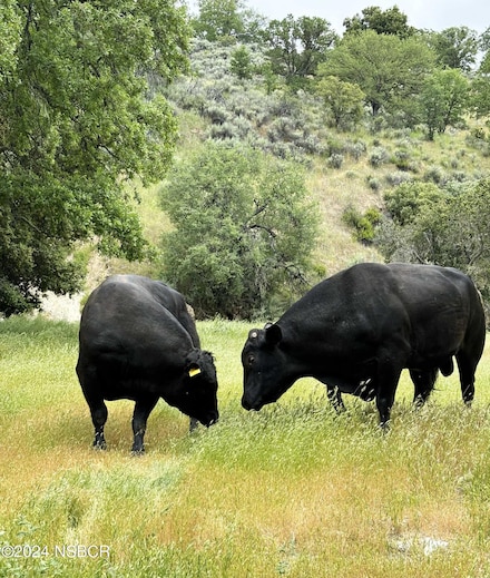 41500 Carmel Valley Rd, Greenfield, CA 93927