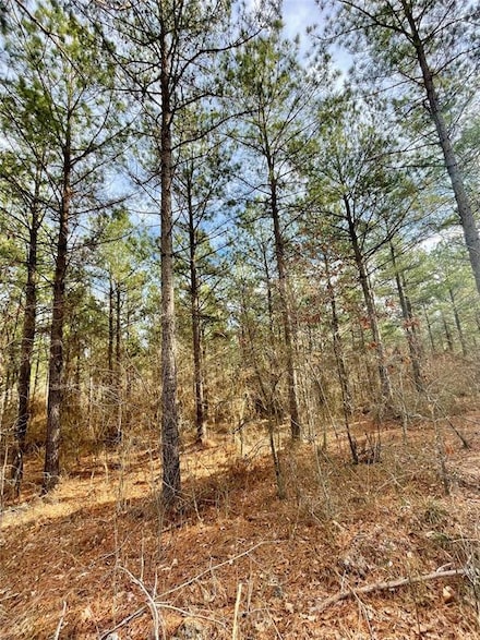 744 Timber Creek Trails South Xl, Broken Bow, OK 74728