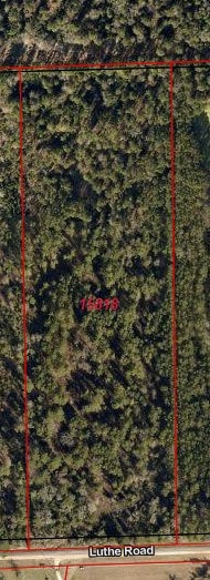 3634 Luthe Rd, Bedias, TX 77831