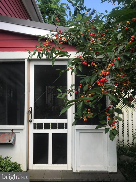 11 N Higgins St, Easton, MD 21601