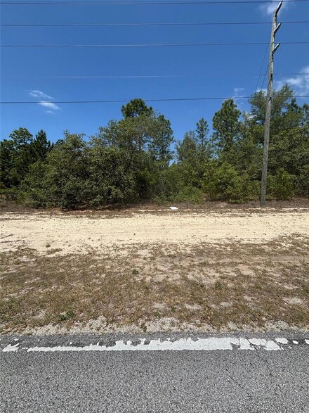 10264 N Elkcam Blvd, Citrus Springs, FL 34433