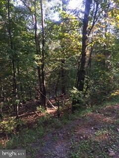 Lot 176 Hogan Dr, Basye, VA 22810