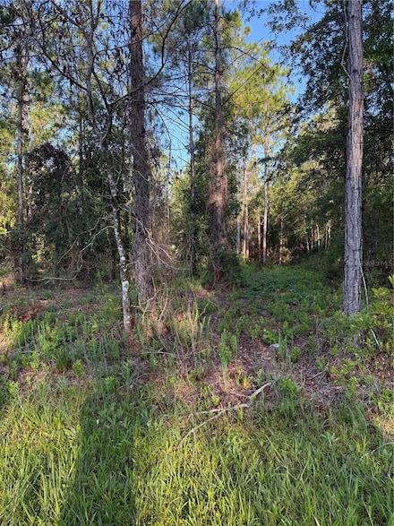 2366 Dogwood St, Bunnell, FL 32110