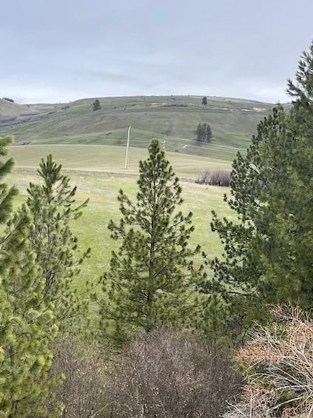 0 Nka Sunnyside Bench Rd Unit 2 13706418, Lenore, ID 83541