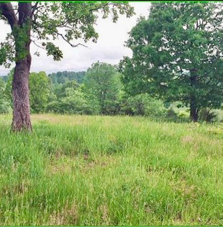 000 Tbd Private Drive County Road 116, Macomb, MO 65702