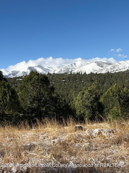 Lot5,Blk1 Woodward Ln, Alto, NM 88312