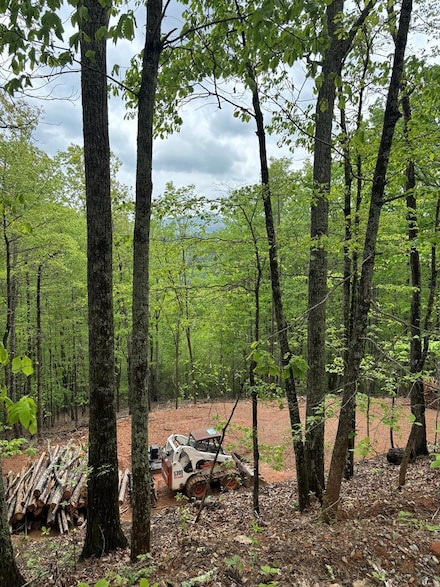 Lot 4-25 Sahkanaga Dr, Murphy, NC 28906