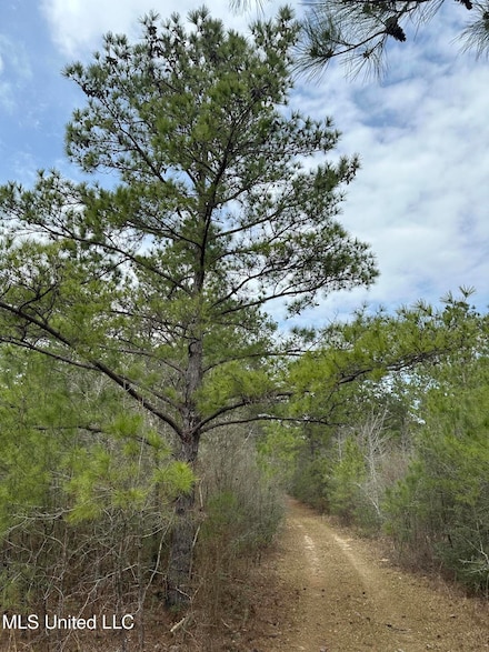 0 Peacock Rd, Lucedale, MS 39452
