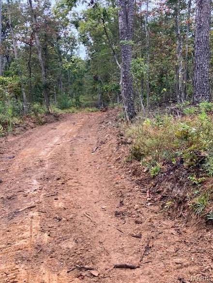 410 Madison St, Fredericktown, MO 63645