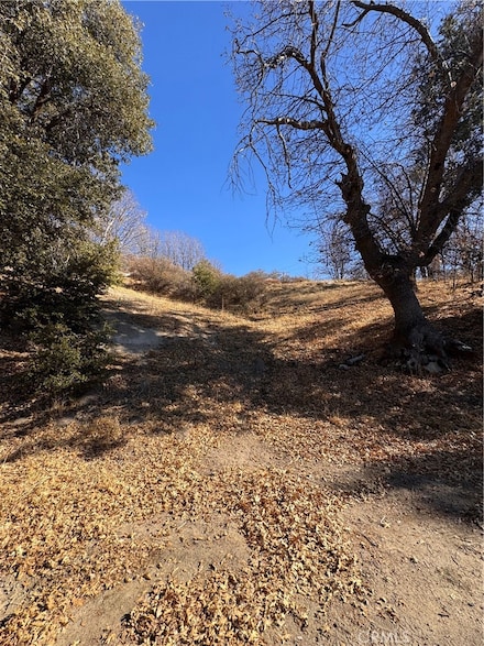 29685 Hickory Dr, Cedar Glen, CA 92321