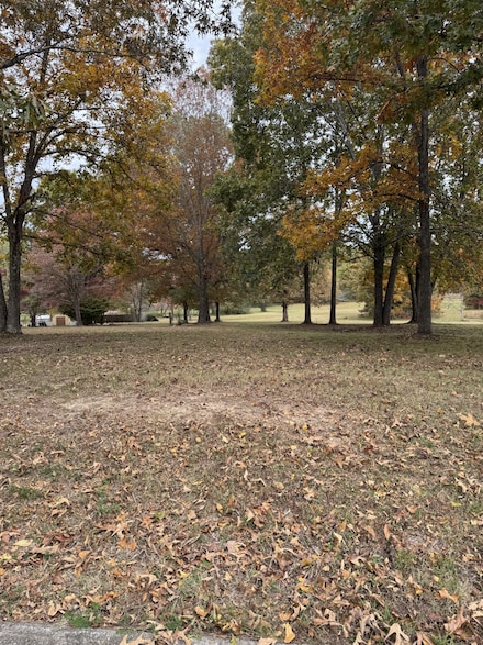 7204 Sweetbriar Ln, Fairview, TN 37062