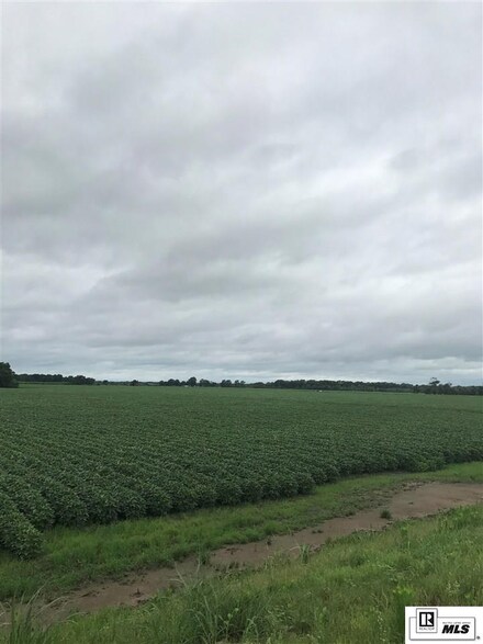 0000 U S 165, Gillett, AR
