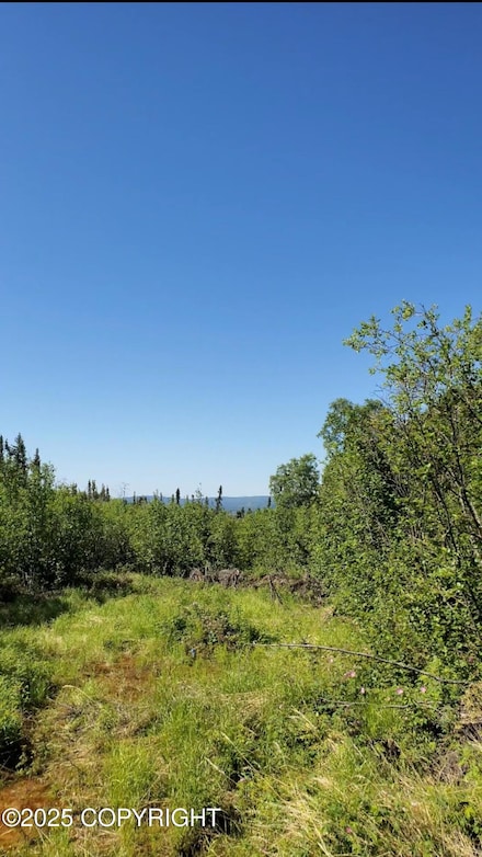 L5 B7 Charles Lyell Loop, Remote, AK 99756