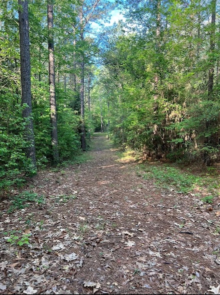 0 Fox Camp Rd, Eros, LA 71238