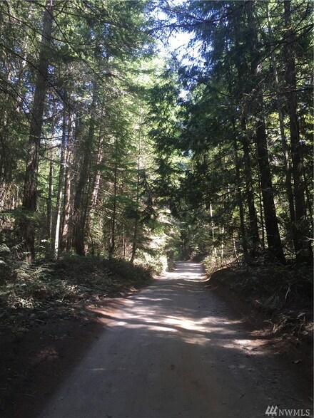 0 Gravel Pit Rd Unit 1016715, Waldron Island, WA 98297