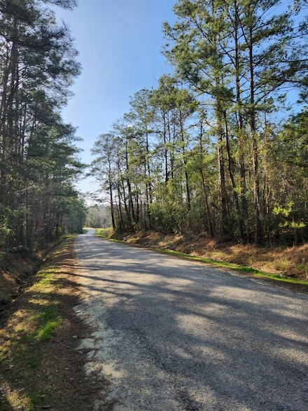 1038 Counts Rd, Point Blank, TX 77364