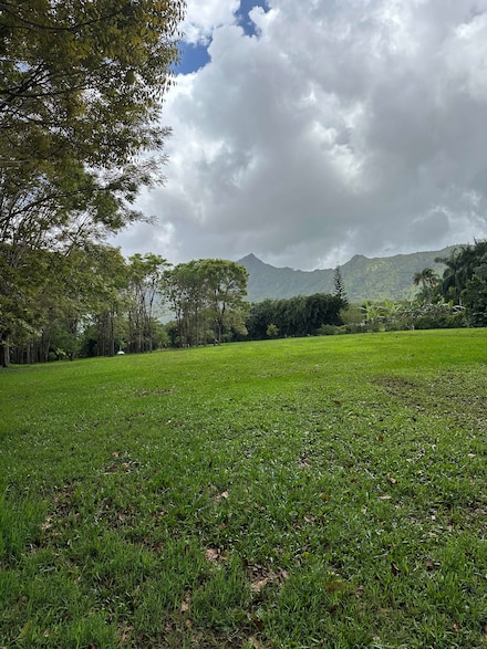 0 Halaulani Rd Unit 710593, Kilaulea, HI 96754