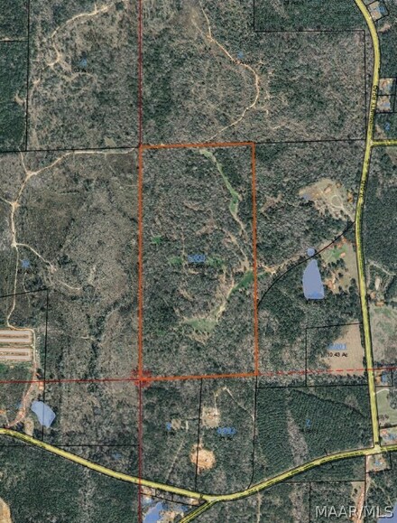 off 235 County Rd, Elba, AL 36323
