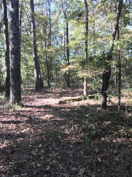 2612 Patterson Bridge Rd, Hephzibah, GA 30815