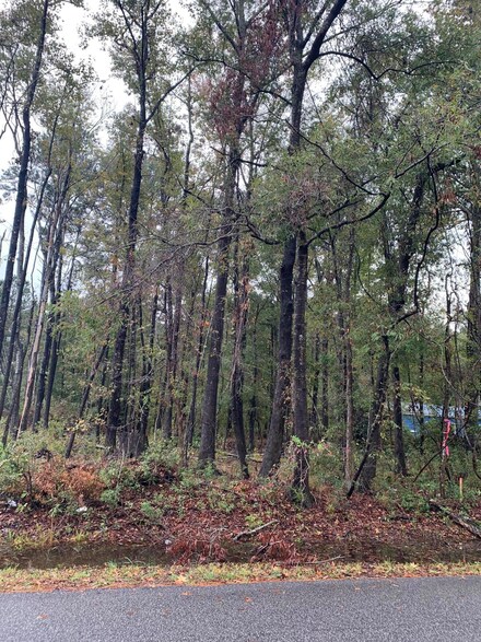 0 Tuskegee Dr Unit Lot 68 24028329, North Charleston, SC 29418