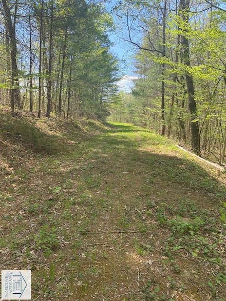 Lot 2 Oak Hollow Rd, Woolwine, VA 24185