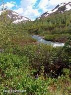 Mile 18 Willow Fishhook Rd, Willow, AK 99688