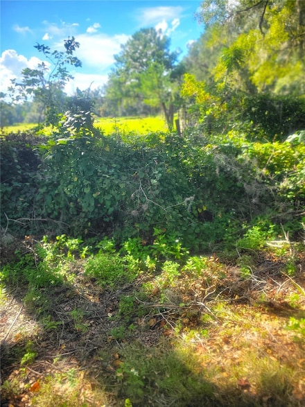 TBA NW 43rd Place, Newberry, FL 32669