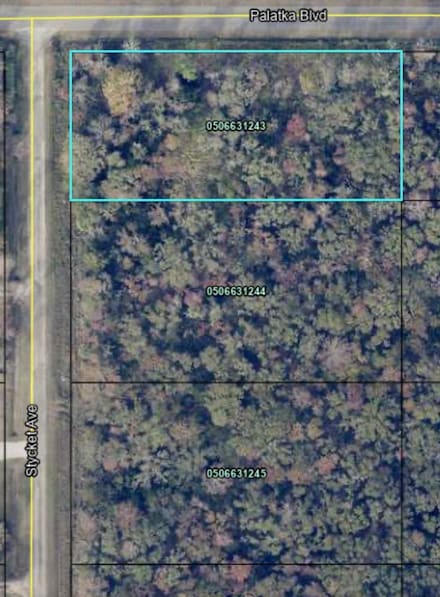 10600 Stycket Ave, Hastings, FL 32145