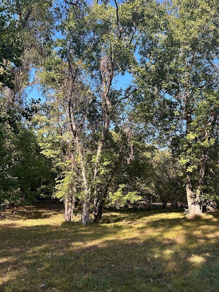 TBD Jo Ann Trail, Livingston, TX 77351