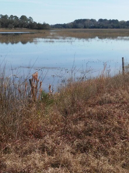 0 Coon Club Rd Unit 16010312, Meggett, SC 29449