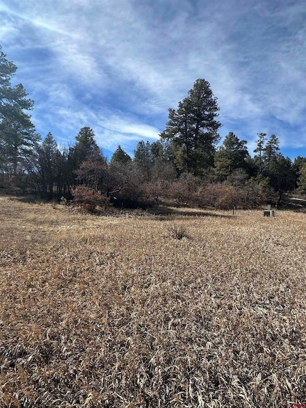 90 Chase Ct, Pagosa Springs, CO 81147
