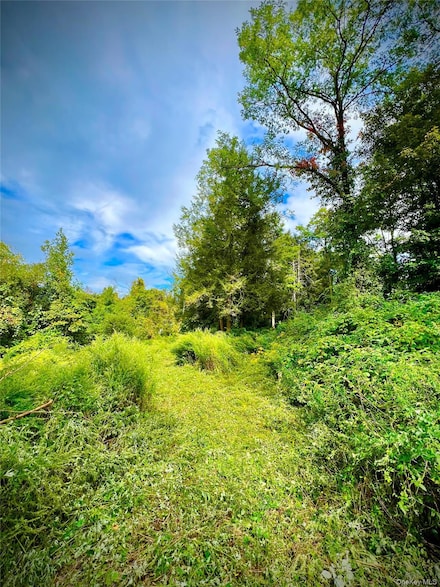 890 New York 312, Southeast, NY 10509