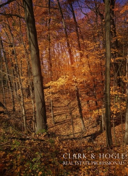 0 Lakeside Dr Unit 25058110, Perrinton, MI 48871