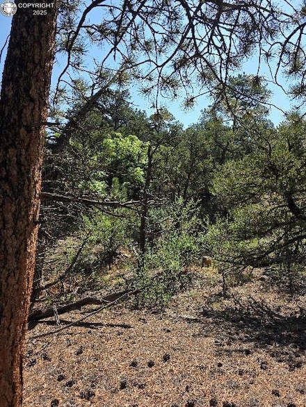 506 Kevin Dr, Cotopaxi, CO 81223