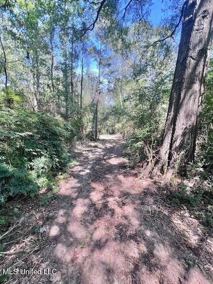 2289 Mississippi 541, Mendenhall, MS 39114