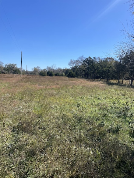 0 Karo Rd, Bell Buckle, TN 37020